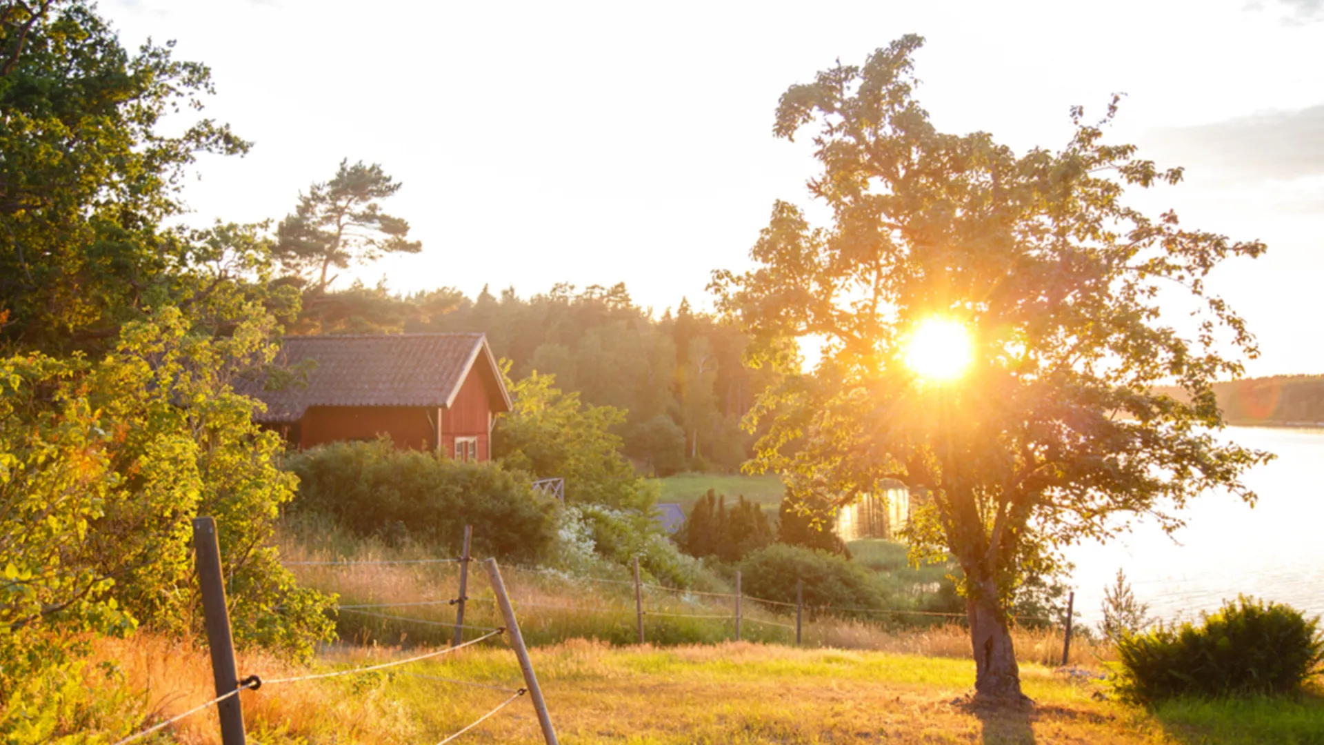 Sommarstuga i solnedgång med grönska och vatten